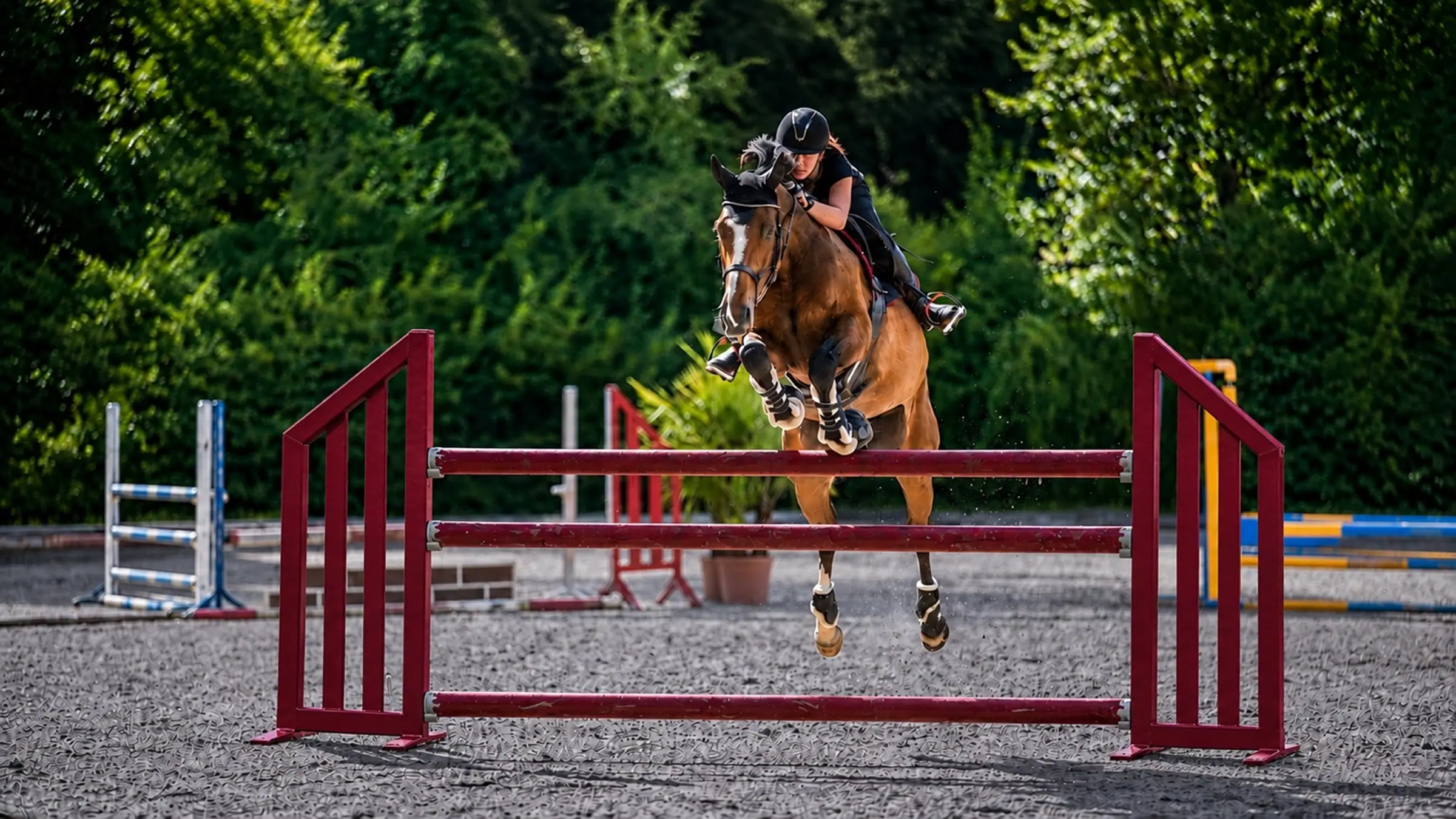 A horse and rider seen head-on as they clear a maroon fence, with sunlit trees behind them and the arena’s grey gravel below.