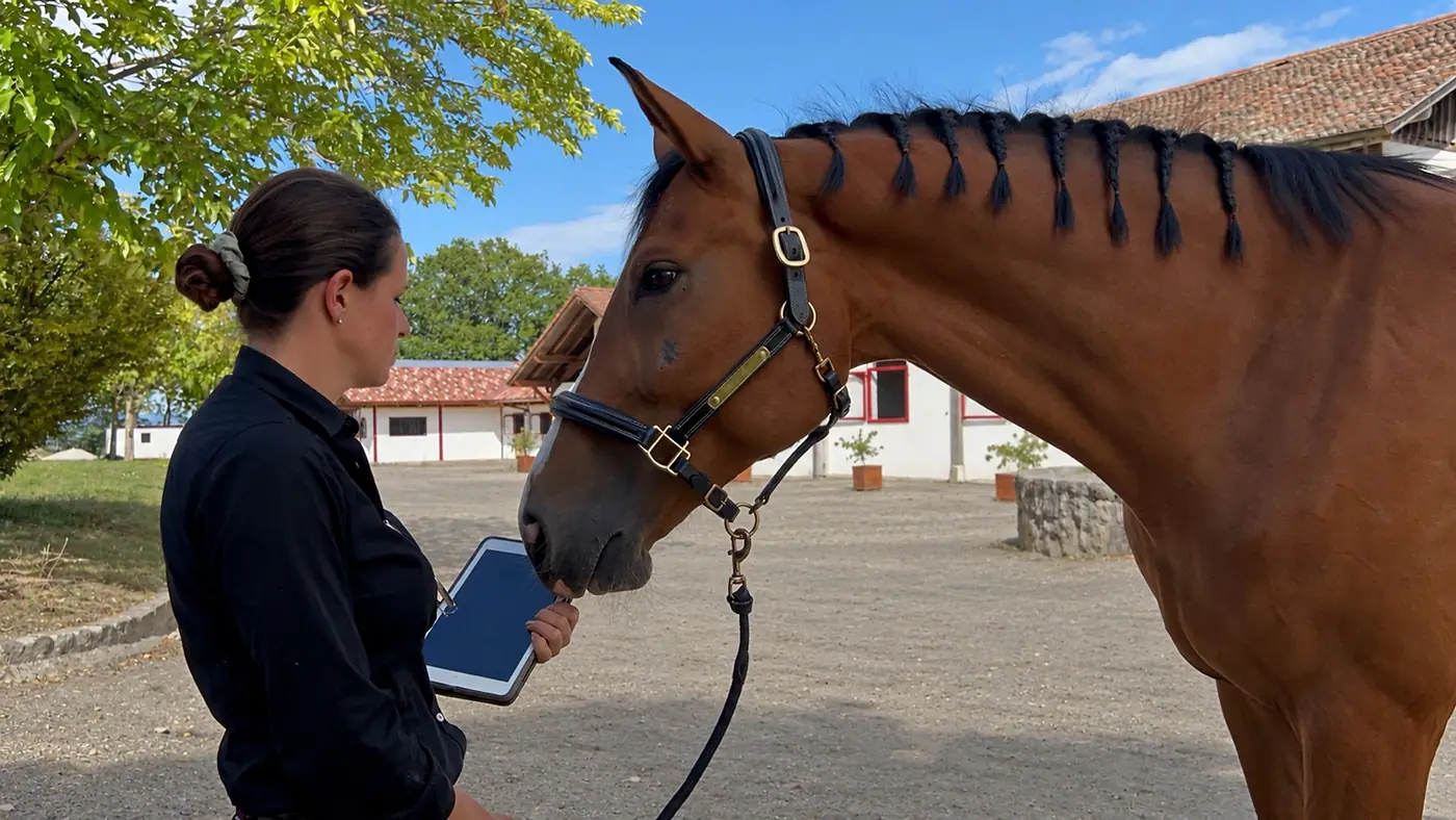 A woman in a dark shirt holding a tablet up to a bay horse in a stable yard, the horse reaching down to investigate it, with white stable ranges, trees and a summer sky behind them.
